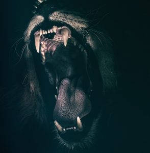 strength potion lion roar